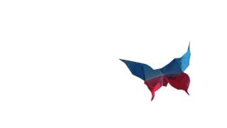 Butterfly Video