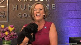 A virtual fundraiser reimagined this org's annual in-person gala and live streamed it for the win!