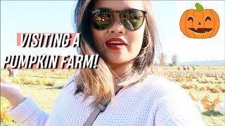Pumpkin Patch and riding a Bird in Washington!