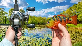 Fishing The Big Bass CAPITAL For SPRING Giants (Spawn Season)