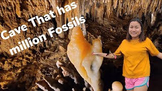 Cave of the Mound Wisconsin USA | Beautiful & Plenty of Fossils