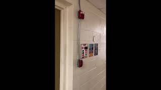 False Fire Alarm sisters University dormitory-older Edwards System Wheelock NS