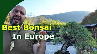 Bonsai Garden Tour (Italian Bonsai Dream)