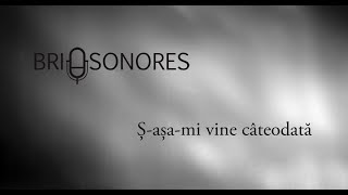 Brio Sonores - S-asa-mi vine cateodata (Cand s-o-mpartit norocu) | Official Video
