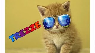 TREZZES INTRO