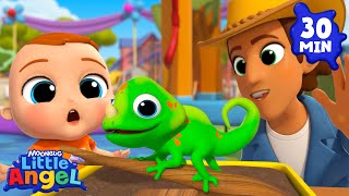 What a Strange Animal! 🦎 Little Angel | Best Animal Videos for Kids | Kids Songs and Nursery Rhymes