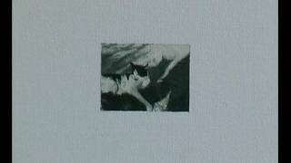 Cat - Andrea Rádai