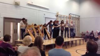 Crossover concert. Ceolas 2016. Harps and song.