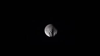 Igor Longhi 'La Luna'