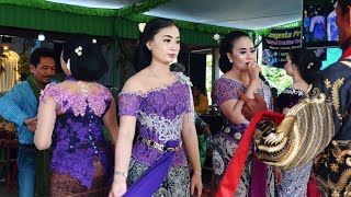 IBU PERTIWI - LARANG UDAN - TAYUB TERBARU - PUJI LARAS