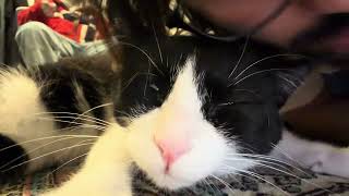 Ben Steve’i çok seviyorum. 😘 #cat 