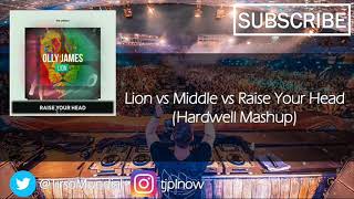Lion vs Middle vs Raise Your Head (Hardwell Mashup)