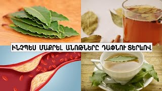 Ինչպես  մաքրել  անոթները  դափնու  տերևով / Как почистить сосуды лавровым листом