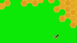 Honey Bees Green Screen
