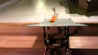 Mad Science Drag Racing