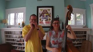 The Springtails perform Michigan Spring 3-21-2020