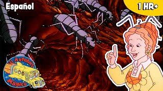 Hormigas y otros insectos | Episodios completos | Ciencia | El Autobús Mágico