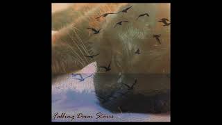Falling Down Stairs