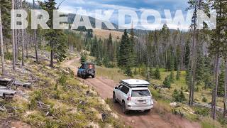 This Trip Had It All - Views, Wildlife, and Breakdowns