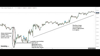 Ron K: How Did I Spot Market Manipulation in Charts When Trump was Infected with Covid19