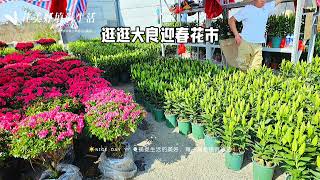 行花街，食小食，睇小朋友耍咏春，年味十足，越行越旺🌸#花市 #年味 #过年氛围 #行花街 #咏春 #非遗文化 #人间烟火 #春节 #亲子时光 #年味满满