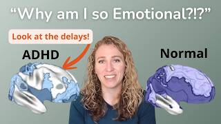 The Neuroscience of ADHD and Emotional Dysregulation
