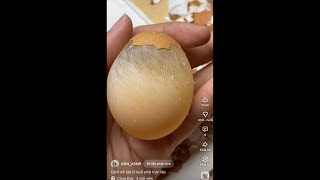 ✨ 99% FAIL - Most Satisfying Raw Egg Shell Removal ASMR 🥚 Relaxing