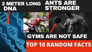 Random facts you didn't know|| Top 10 Interesting Random Facts