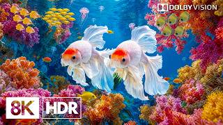 Hidden Stunning Deep Sea Creatures in 8K HDR | Dolby Vision™