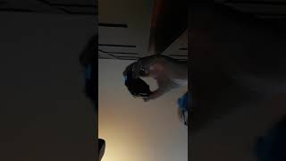 Top secret video for spies only not hacker spies or Porjcet zrogo spies
