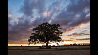 Timelapses from July 2016