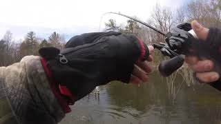 Giant spring pickerel!! (Crazy pickerel attack at 2:12)