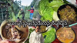 30/11 /25🌿wild banana big tree curry with squirrel chilli paste 🥵