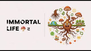Best to Be Born as a Fungi Network – Earth's Secret Internet, Immortal Life 🍄