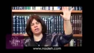 Ceding The Cedar Parshat Vayigash
