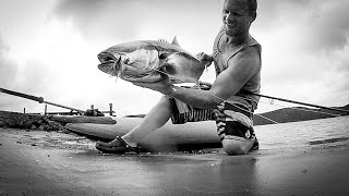 JP SAMUELSON - KING ON FLY