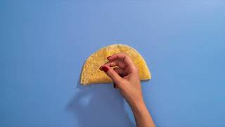 Ooey Gooey Quesadilla | Stop Motion