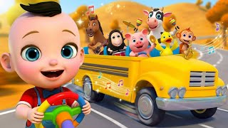 Wheels on the Bus + Lollipop Colors & More | Learn Animals & Colors | Nursery Rhymes | BabaSharo TV