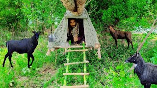 Building a Suspended Clay Shelter | Primitive Survival Skills in the Wild