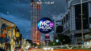 我是一只鱼 DJ REMIX - (MC Music Studio) '需要你~我是一只鱼~水里的空气~是你小心眼和坏脾气~