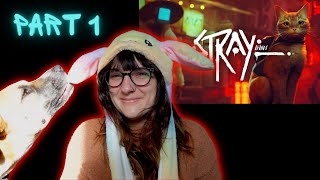 🔴 Stray ~ First Playthrough ~ part 1