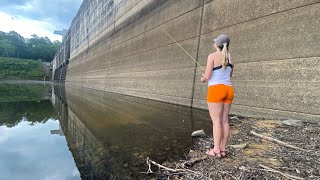 Bobber Fishing Spawning Bluegill, Then We Found Something BIGGER! (Catch and Cook)