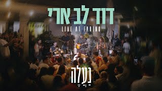 דוד לב ארי - נעלה (לייב סשן בפארינו)