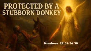 Protected By A Stubborn Donkey: Numbers 22:31-34, 38