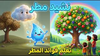 نشيد مطر 🌧️ (سينزل المطر) | الصف الثاني الابتدائي - المنهاج الإماراتي [مع الكلمات] 🎵