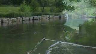 Full Circle by Darmin De'flern. Instrumental,  Study Music, Easy Listening, Flute, Live Performance.