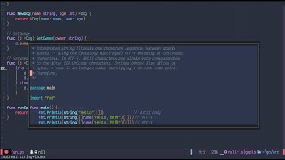 Go cheatsheet inside neovim with go.nvim; Test shortcut allows you run test directly.