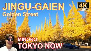 [4K] Tokyo’s Most Beautiful Fall Walk: The 300m Ginkgo Tree Tunnel at Jingu Gaien | 神宮外苑 @TOKYO NOW