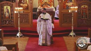 Homily 061624