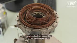 The CUORE Underground Experiment Narrows the Search for Rare Particle Process